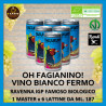 VINO BIOLOGICO BIANCO FERMO Fagianino Romagnolo Beverino LATTINA BLU: MASTER x 6 lattine x ml. 187