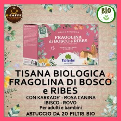 TISANA Bio “FRAGOLINA di BOSCO e RIBES”: 20 filtri