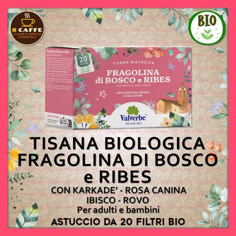TISANA Bio “FRAGOLINA di BOSCO e RIBES”: 20 filtri