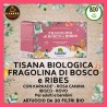TISANA Bio “FRAGOLINA di BOSCO e RIBES”: 20 filtri